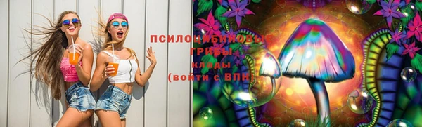 apvp Михайловка