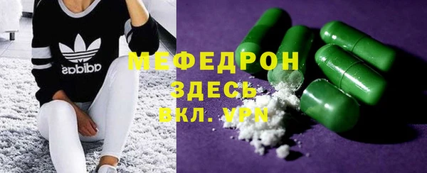 индика Михайловск