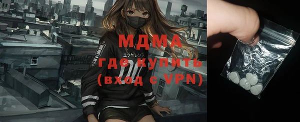 индика Михайловск