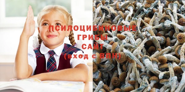 индика Михайловск