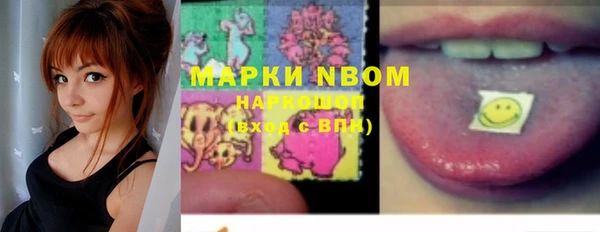 индика Михайловск