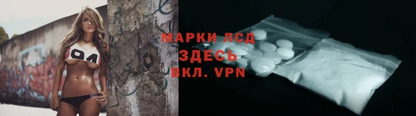 индика Михайловск