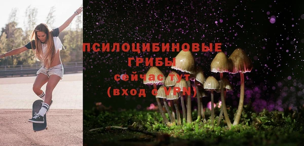 apvp Михайловка