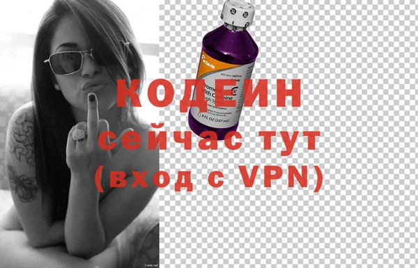 индика Михайловск