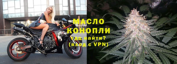 индика Михайловск