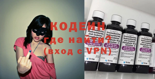индика Михайловск