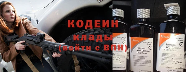 индика Михайловск