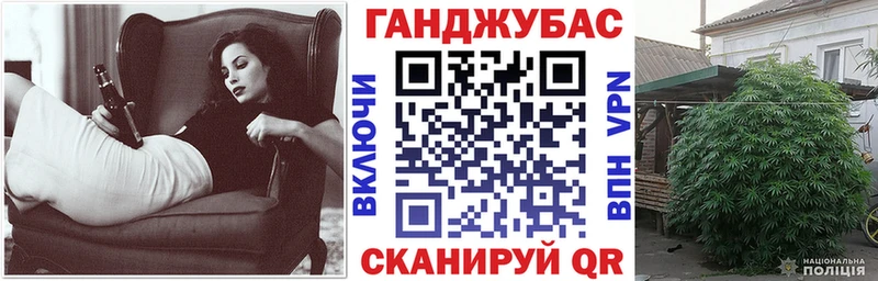 Марихуана MAZAR  Купить где  Вологда 